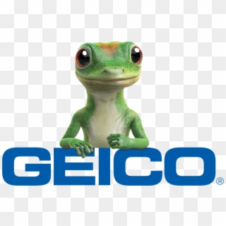 Geico Commercial, HD Png Download