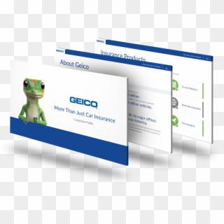 Slide Deck - Shrub Frog, HD Png Download