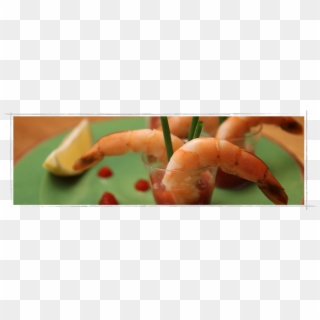 Shrimp Cocktail Shooters - Botan Shrimp, HD Png Download