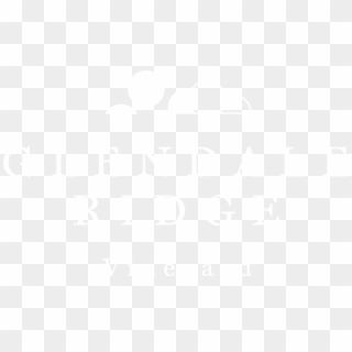 Johns Hopkins Logo White, HD Png Download
