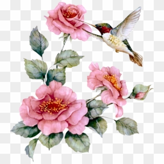 Pássaros Em Imagens Png - Roses With Hummingbird, Transparent Png