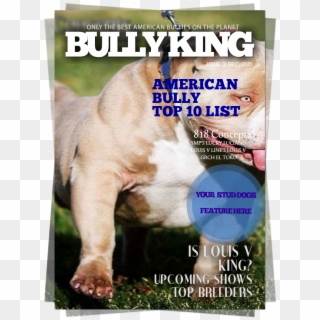 Buy Bully King Year Subscription Now - Pregadores Da Palavra De Deus, HD Png Download
