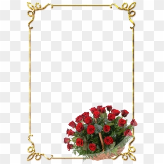 Frames Png Douradas Com Rosa Vermelhas - Floral Border Design Png, Transparent Png
