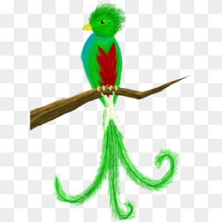 Quetzal Clipart Png , Png Download - Quetzal Png, Transparent Png