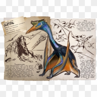 Quetzal - Ark Quetzal Dossier, HD Png Download
