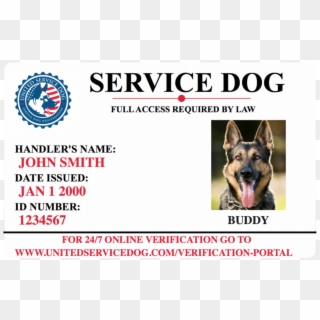Service Dog Id Card - German Shepherd Dog, HD Png Download