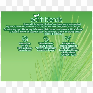 Softsoap Earth Blends Bar Soap, Coconut & Fig, Two - Grass, HD Png Download