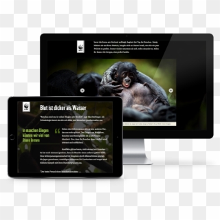 Save The Bonobos - Common Chimpanzee, HD Png Download