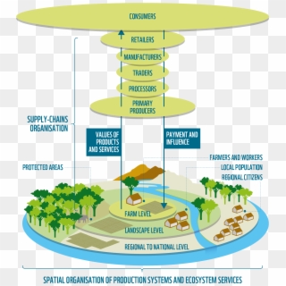 Transitioning Toward An Adaptive And Resilient Food - 生物 多様 性 の 危機, HD Png Download