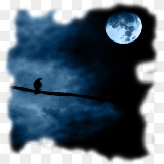 Zubair Siddiq - Crow And The Moon, HD Png Download