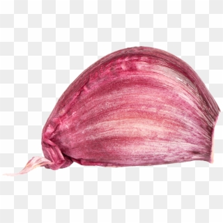 Garlic - Red Onion - Red Onion, HD Png Download