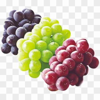 Grape Png Image &amp - Seedless Fruit, Transparent Png