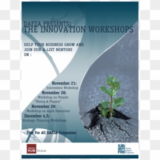 Projects - Flyer, HD Png Download