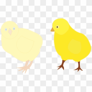 Chicks Figure Color Png - Flightless Bird, Transparent Png