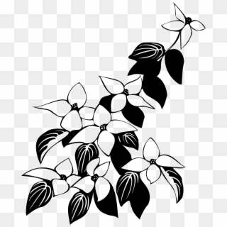 This Free Icons Png Design Of Cornus Kousa Flowers - Leaves Png Black And White, Transparent Png