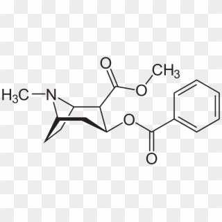 Datei - Kokain - Cocaine - Svg - Cocaine Molecule, HD Png Download