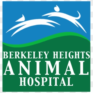 Berkeley Heights Animal Hospital - Graphic Design, HD Png Download