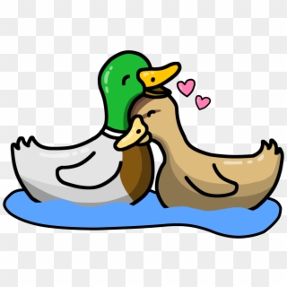 Uci's Number 1 Couple - Duck, HD Png Download