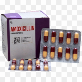 02 Details - Amoxicillin Capsules 500mg, HD Png Download