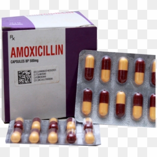 02 Details - Amoxicillin Capsules 500mg, HD Png Download
