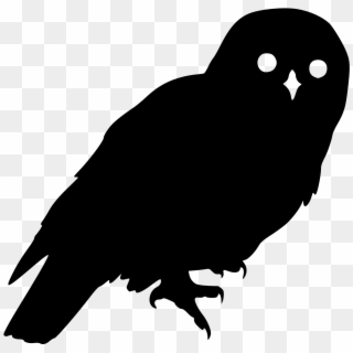 Owl1 - Owl Silhouette No Background, HD Png Download
