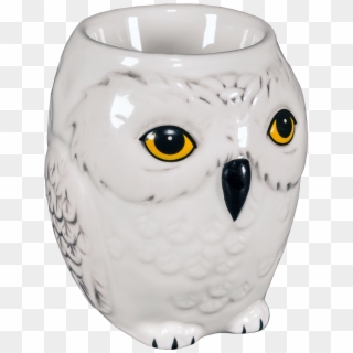Hedwig Egg Cup - Snowy Owl, HD Png Download