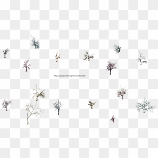 Hjm Dead Trees 2 Alpha - Insect, HD Png Download