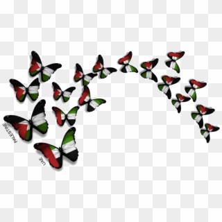 Uae And Palestine - Uae Flag Butterfly Png, Transparent Png