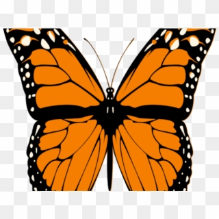 Half Life Clipart Butterfly - Monarch Butterfly Transparent Clipart, HD Png Download