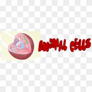 Animal Cells - Animal Cell Logo, HD Png Download