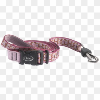 Chaco Dog Collar - Belt, HD Png Download