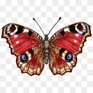 Free Png Butterfly Png Images Transparent - Portable Network Graphics, Png Download