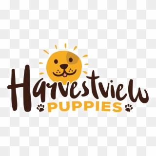 Harvestview Puppies Harvestview Puppies - Cartoon, HD Png Download