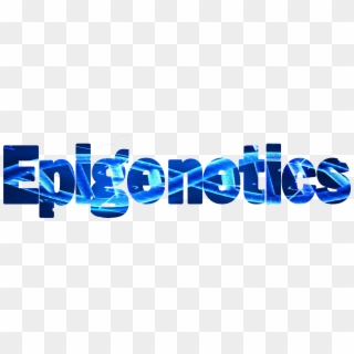 What Is Epigenetics And Why Should I Care - Epigenetics Word, HD Png Download