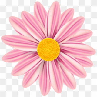 View Full Size - Daisy, HD Png Download