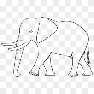 File - Coa Elephant - Svg - Indian Elephant, HD Png Download