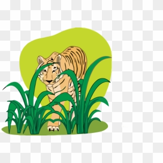 Tiger Clipart Png - Plant And Animal Clipart, Transparent Png