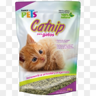 Catnip P/gatos 28 Grs - Catnip Gatos, HD Png Download
