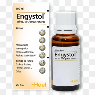 Homeopaticos Engystol Ad Us - Heel, HD Png Download