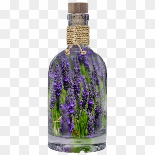 Lavender Bottle Plant Spring Purple Nature Field - Using Lavender, HD Png Download