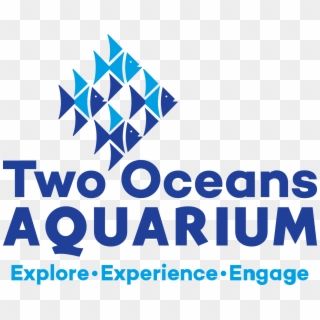 Two Oceans Aquarium Logo - Two Oceans Aquarium Cape Town Logo, HD Png Download