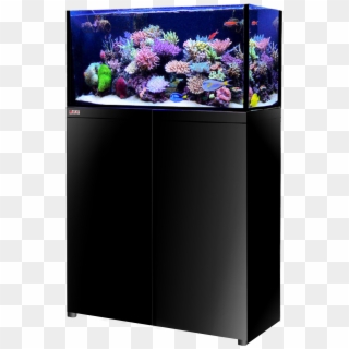 Lux Aquarium Tank System Black Color - Aquarium, HD Png Download