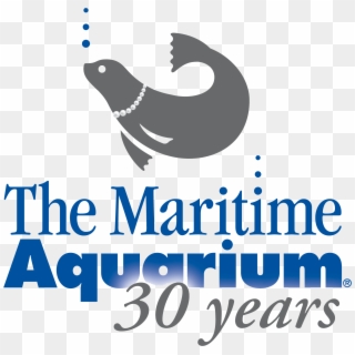 Life Between The Tides - Maritime Aquarium At Norwalk Ct, HD Png Download