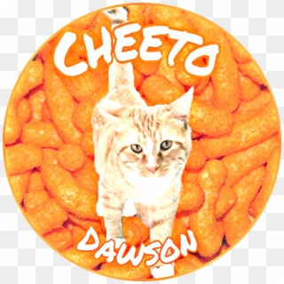 Cheeto Sticker - Domestic Short-haired Cat, HD Png Download