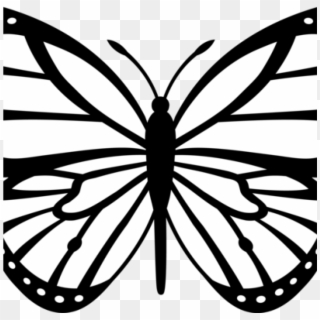 Butterfly Outline Clipart Butterfly Outline Clipart - Monarch Butterfly Black And White, HD Png Download