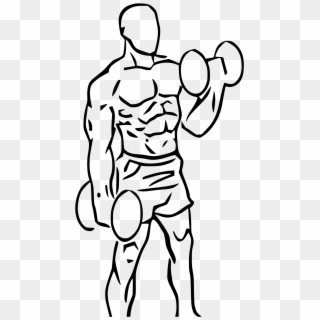 Bicep Drawing Male Huge Freebie Download For Powerpoint - Bicep Curl Drawing, HD Png Download