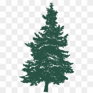 Pine Tree Silhouette 3 - Pines Tree Png, Transparent Png