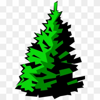 Healthy Fir Image Illustration Of Coniferous - Christmas Tree, HD Png Download