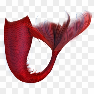 Red Mermaid Tail Png, Transparent Png