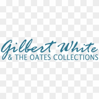 Gilbert Whites House Gilbert Whites House - Calligraphy, HD Png Download